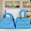 Lady Dior (Zipper Version) + Nora (Zipper Version)